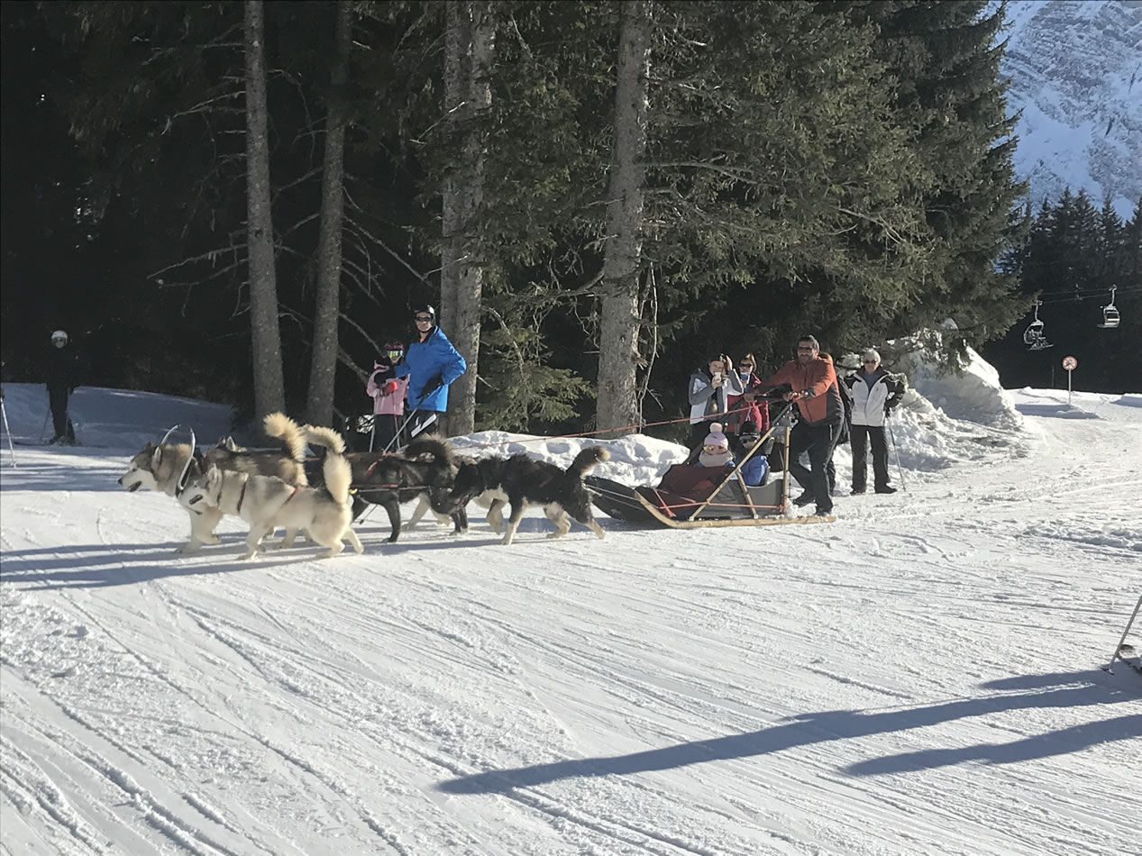 Husky rides in Avoriaz