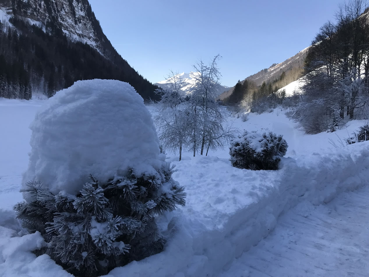 Nearby Lake Montriond