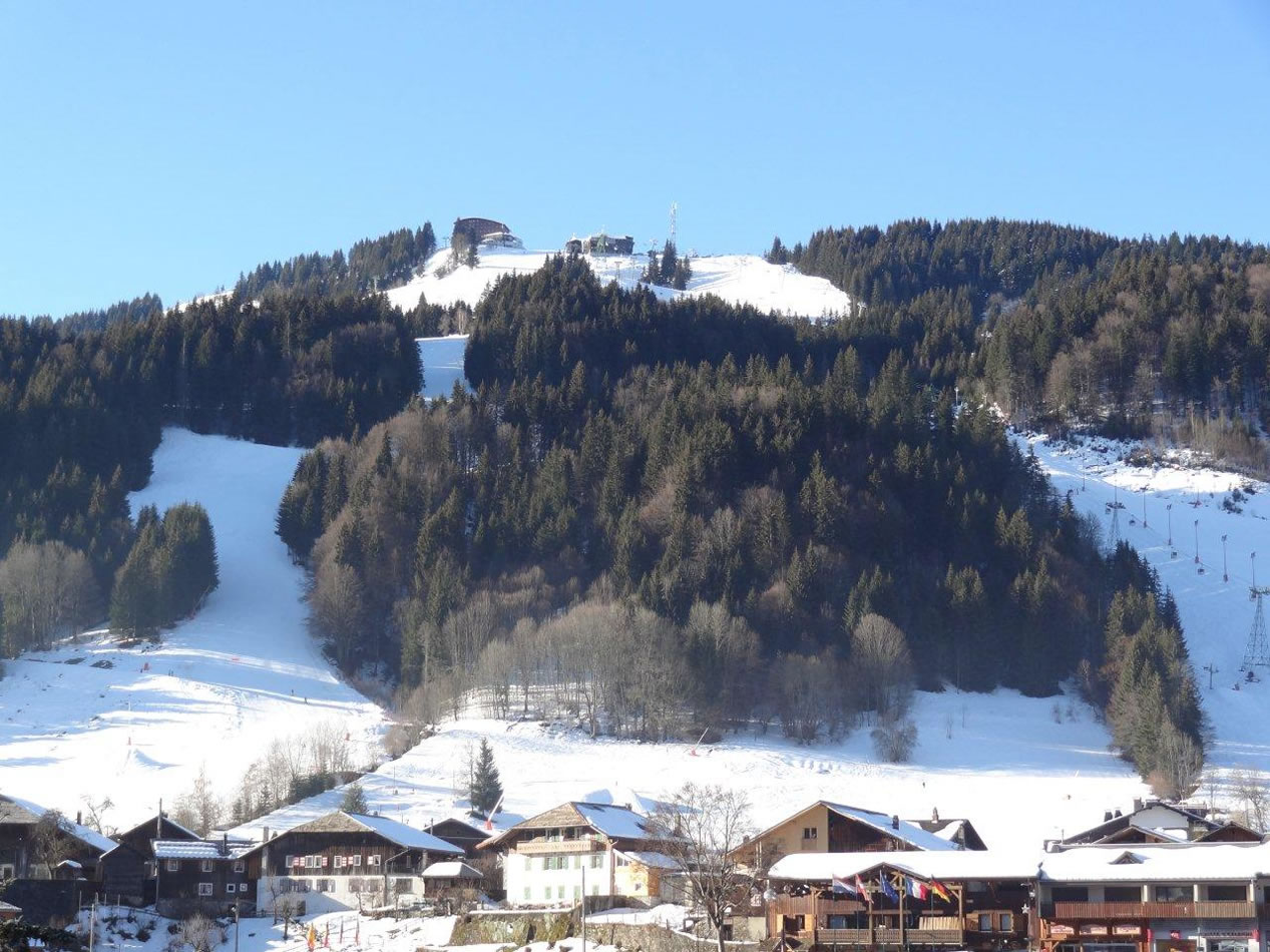 View of Pleney from Chalet Chanterelle