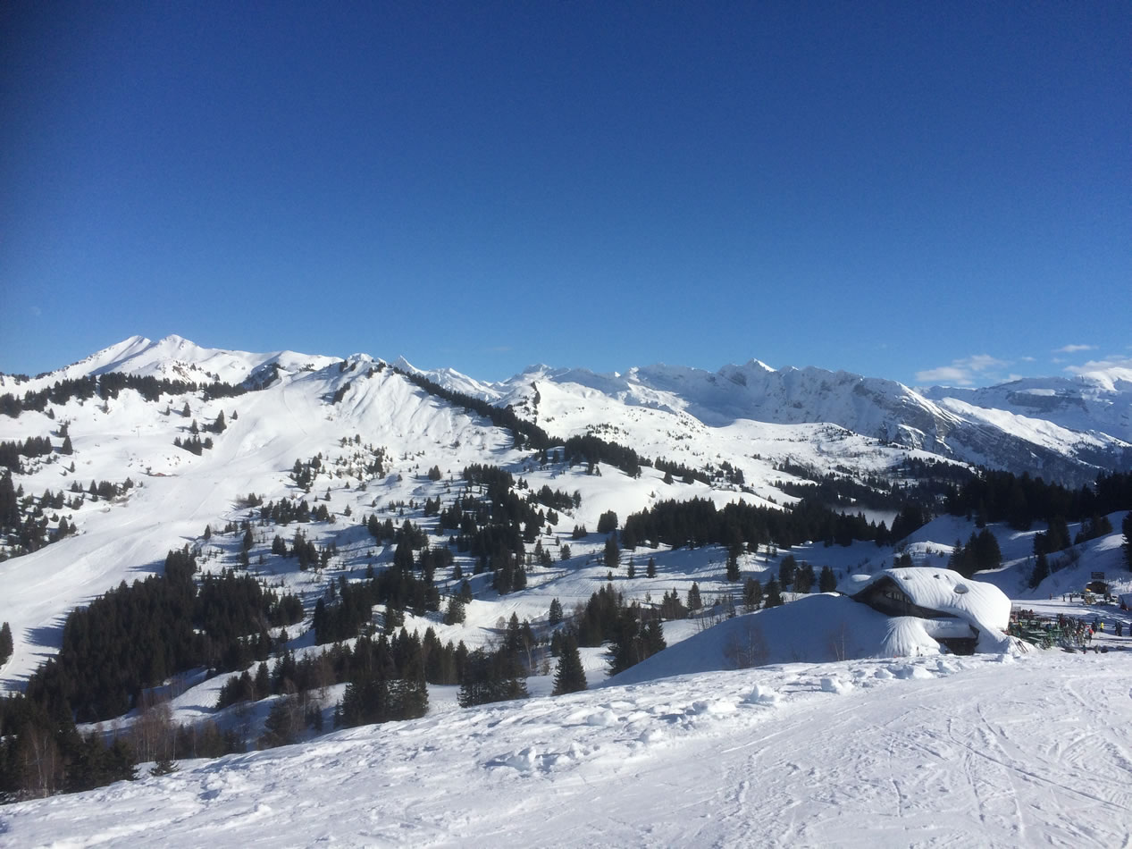 Snowy mountain view